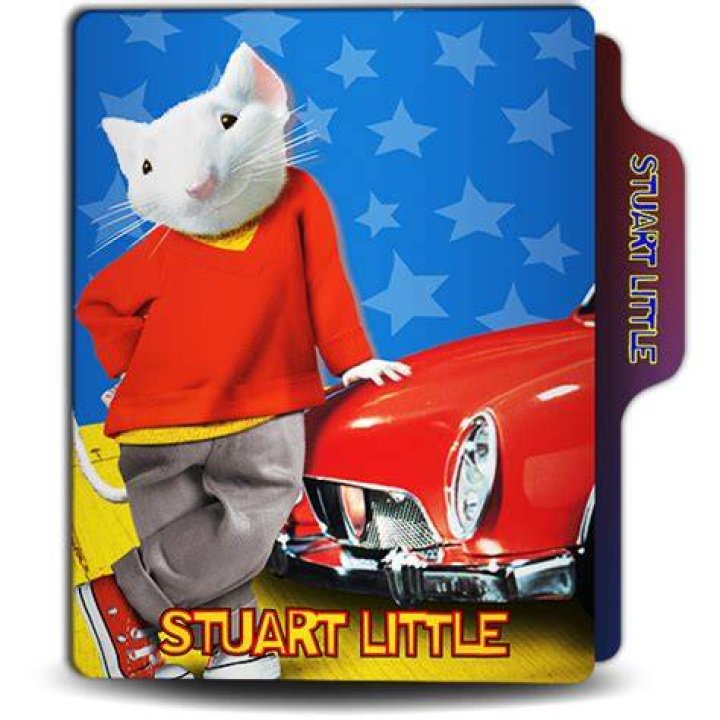 Stuart Tolle